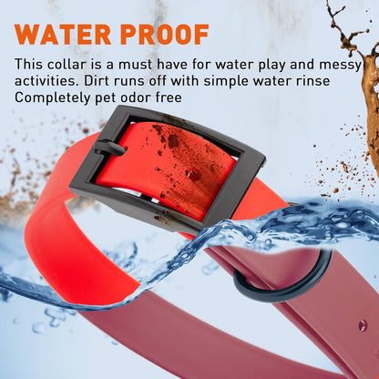 Dogline Biothane Waterproof Dog Collar Strong Coated Nylon Webbing with Black Hardware Odor- Proof