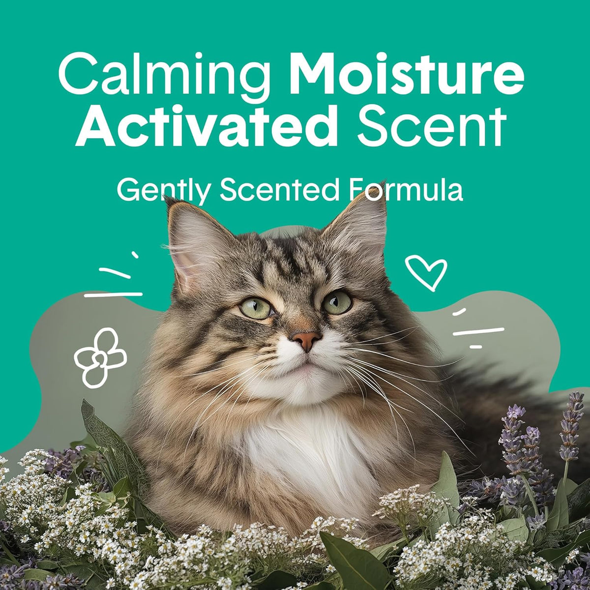 Boxiecat Gently Scented Premium Clumping Clay Cat Litter, 40-Pounds