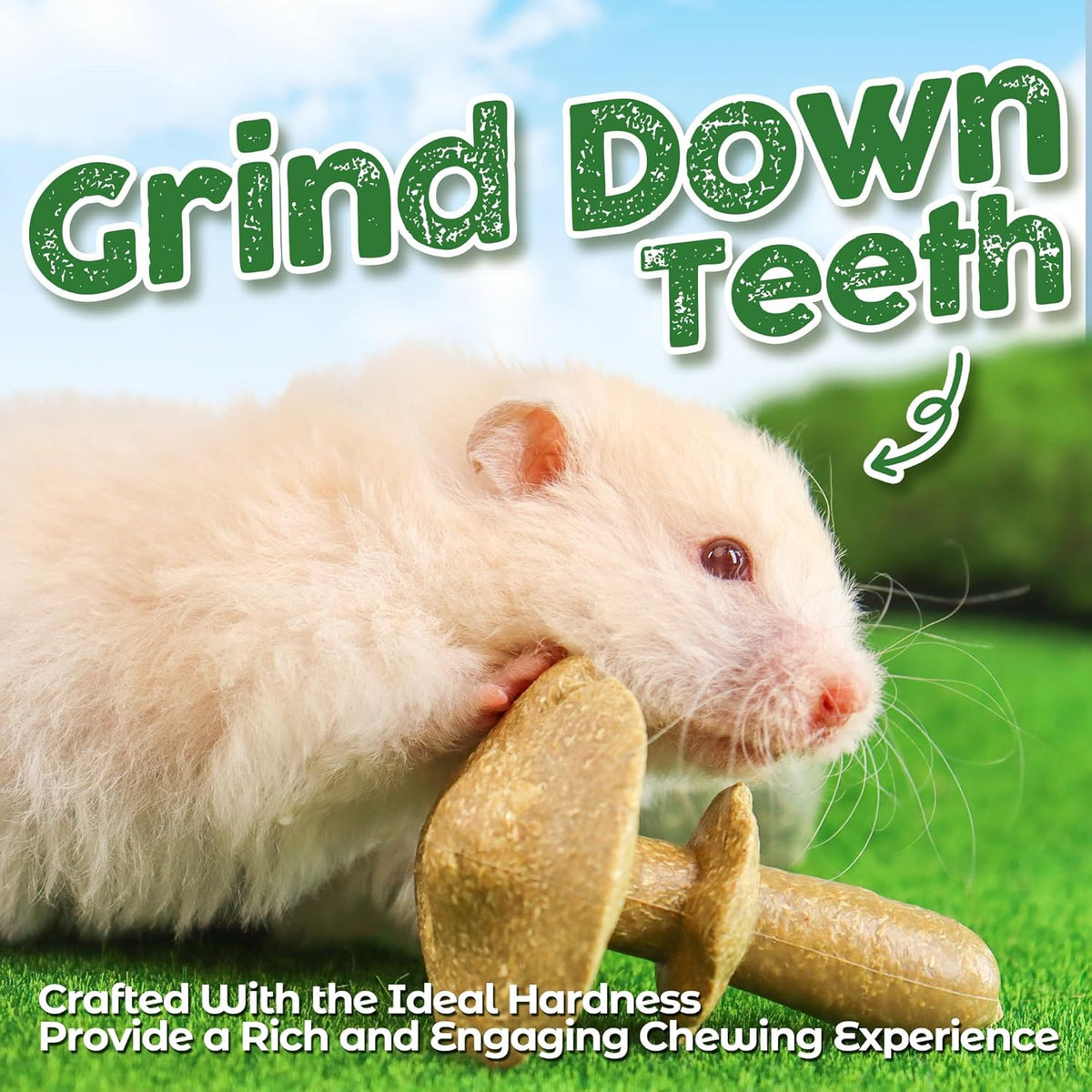 TEEWY 4PCS Guinea Pig Chew Toys, Prevent Teeth Overgrowth, Natural Vegetables and Timothy Grass