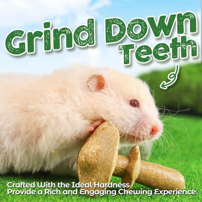 TEEWY 4PCS Guinea Pig Chew Toys, Prevent Teeth Overgrowth, Natural Vegetables and Timothy Grass