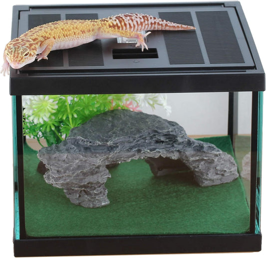 crapelles Glass Lizard Tank, Spider Box Kit, 7.8x7.8x5.9'' Tarantula Feeder Insects Beetle Habitat