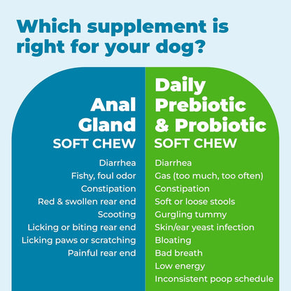 Vetnique Glandex Daily Probiotics for Dogs with Prebiotics to Support Gut Health with Fiber and