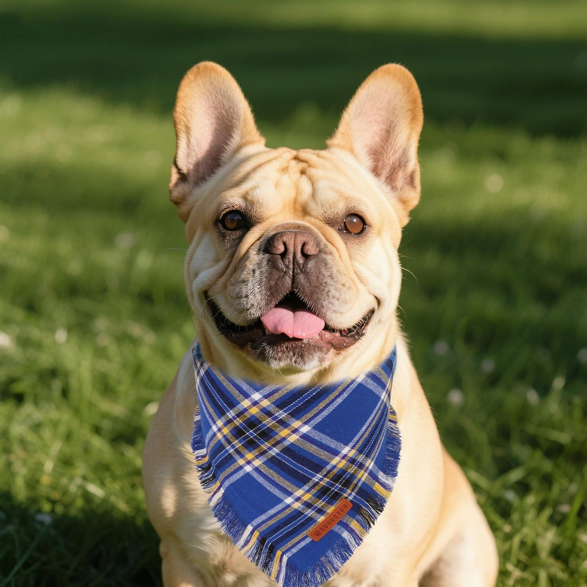 ADOGGYGO Dog Bandanas Boy with Tassels Edges, Stylish Blue Plaid Pet Scarf, Soft Cotton Fabric