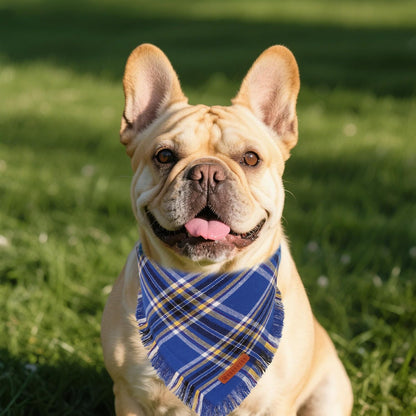 ADOGGYGO Dog Bandanas Boy with Tassels Edges, Stylish Blue Plaid Pet Scarf, Soft Cotton Fabric