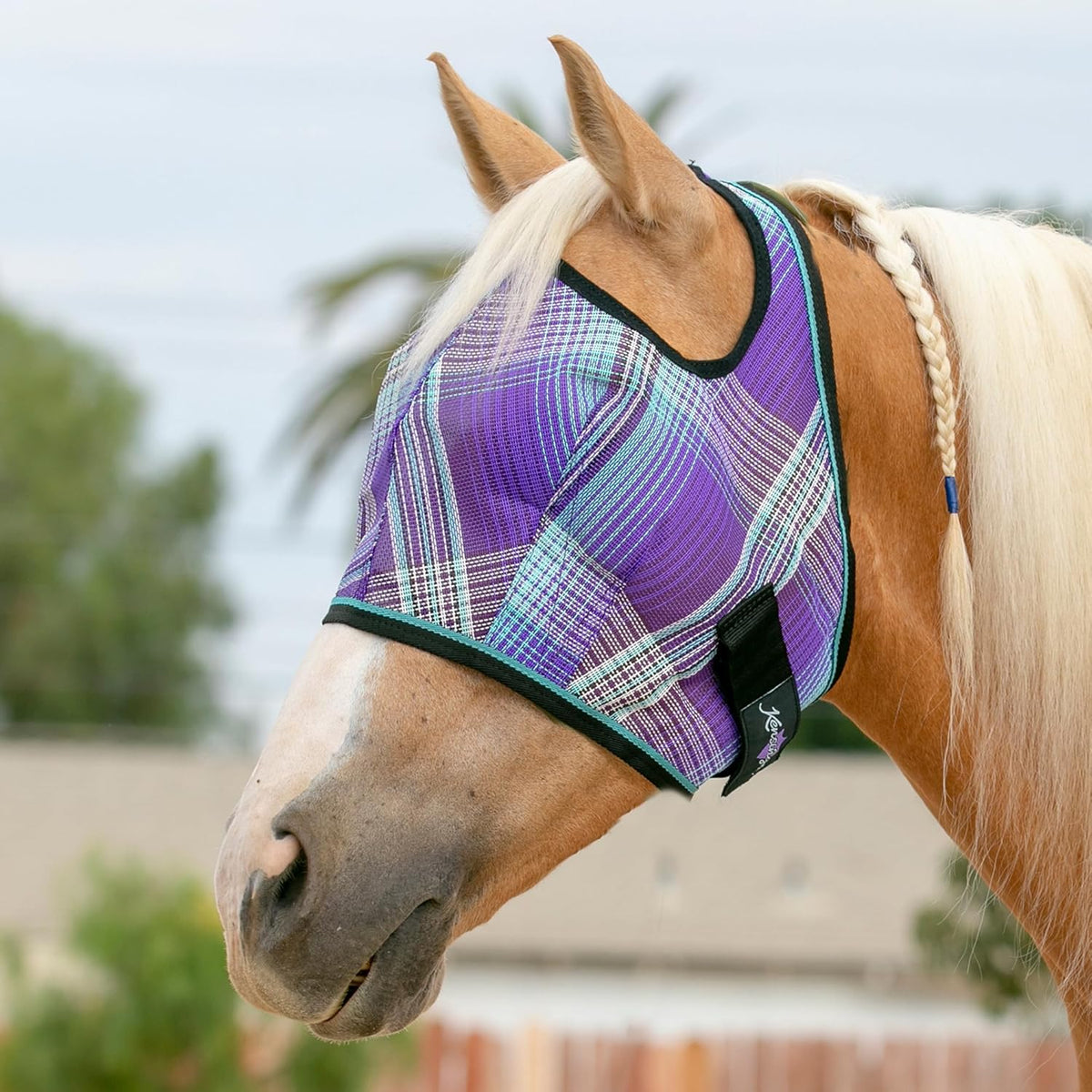 Kensington Fly Mask Web Trim Protects Horses Face and Eyes from Bites and Sun Rays While Allowing