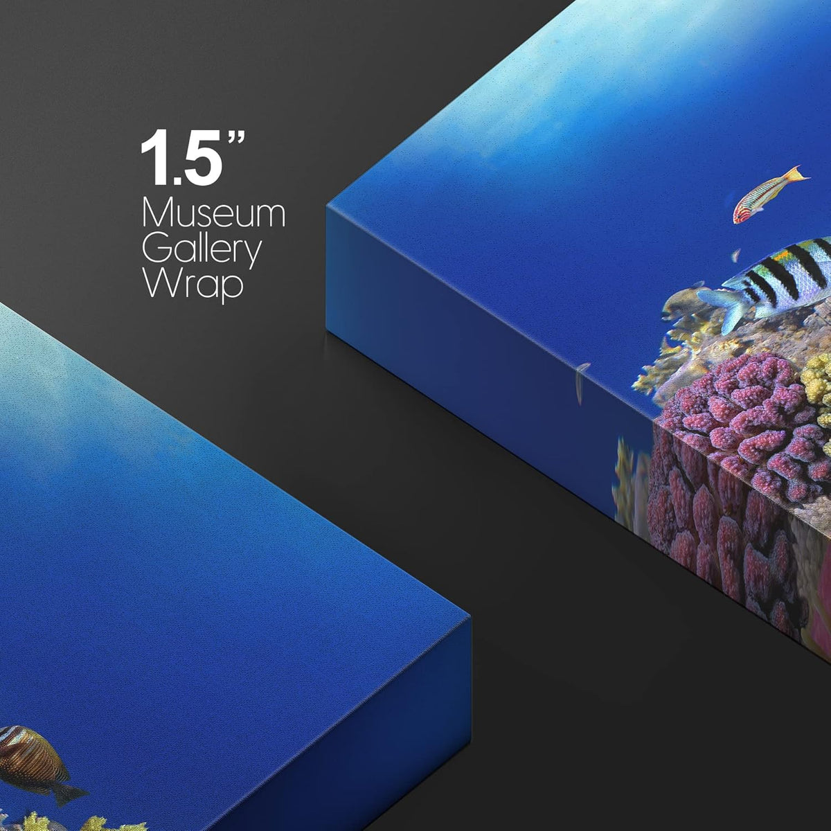 wall26 Canvas Print Wall Art Vibrant Coral Reef Anemone Fish Ecosystem Nature Animals Photography