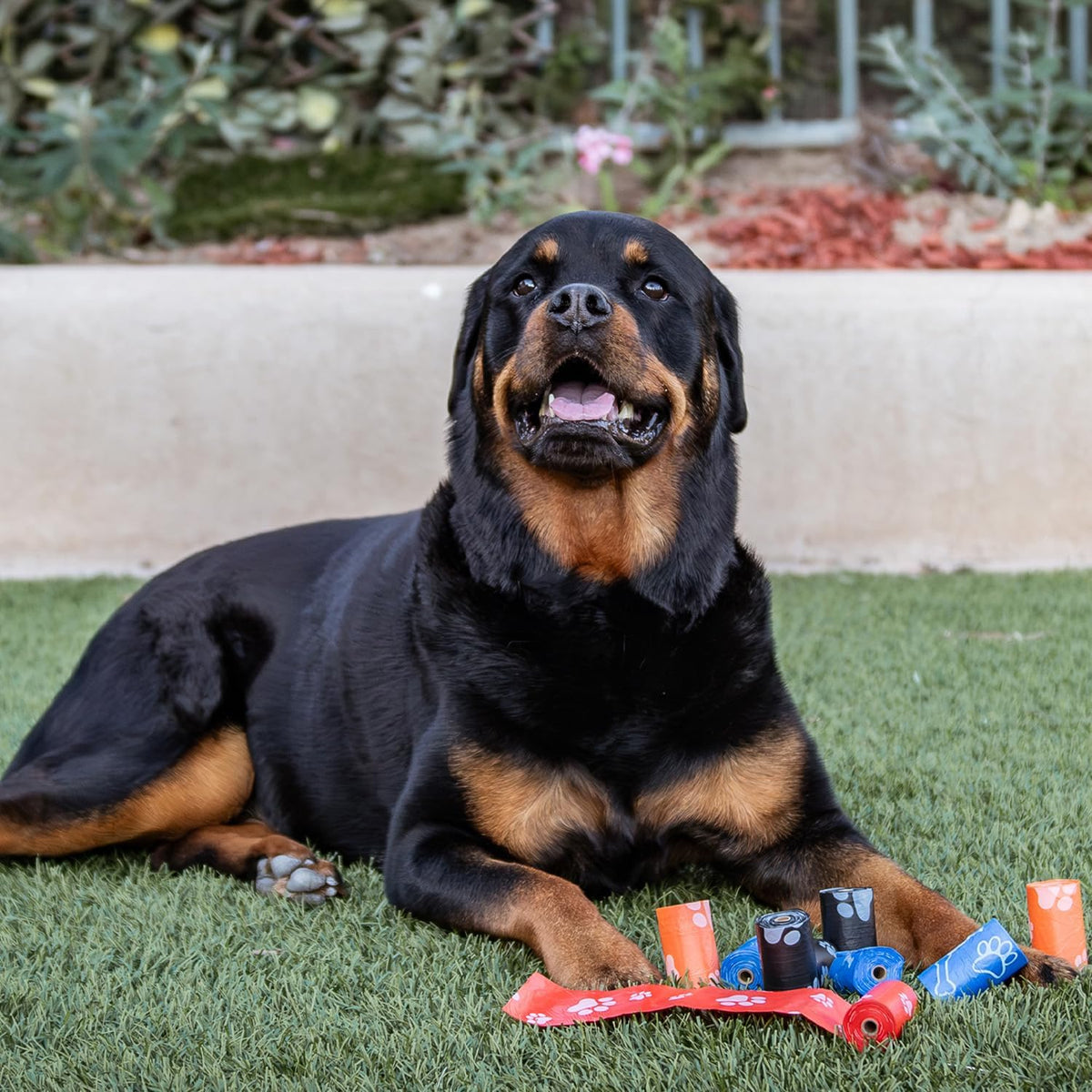 Best Pet Supplies Dog Poop Bags (150 Bags) for Waste Refuse Cleanup, Doggy Roll Replacements for