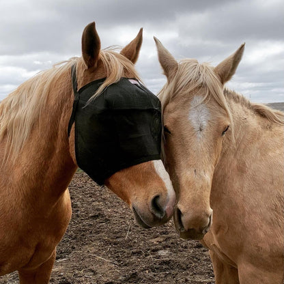 EquiVizor 95% UV Eye Protection (Full) Standard Horse Fly Mask - Help with Uveitis, Corneal Ulcer