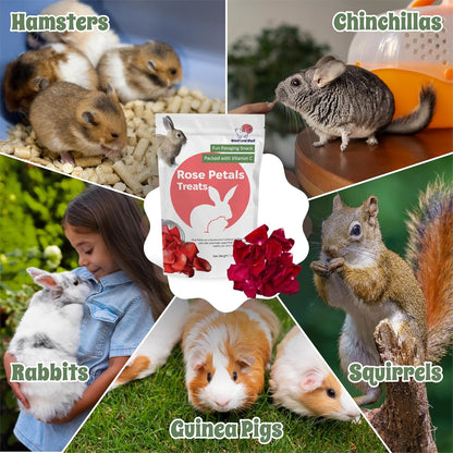 Snout and Shell Rose Petals Treats – Natural Snack for Rabbits, Guinea Pigs & Chinchillas – Vitamin