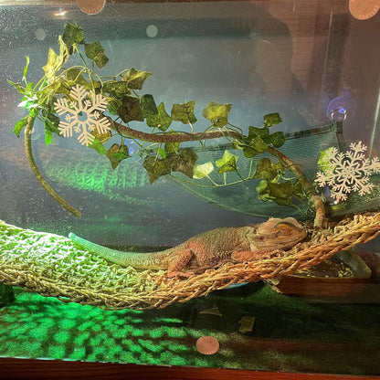 kathson Reptile Wooden Bridge,Bearded Dragon Hammock Decor Wood Reptile Hideout Hut Terrarium