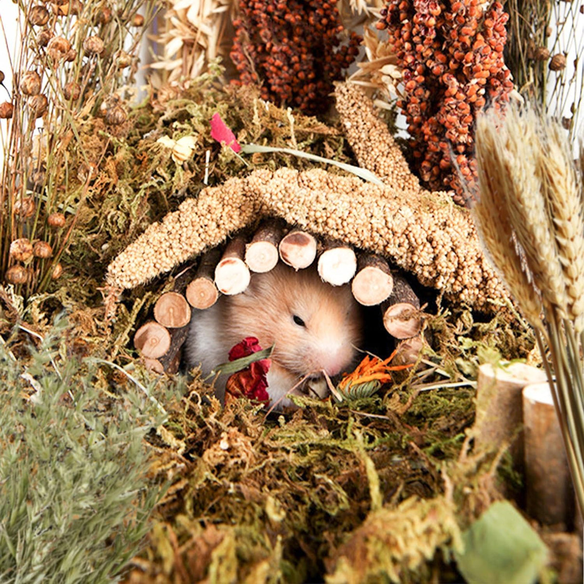 Natural Ear of Grain Flower&Herb Bedding Mate Habitat Decor, Adding Fun Hamster Accessories for