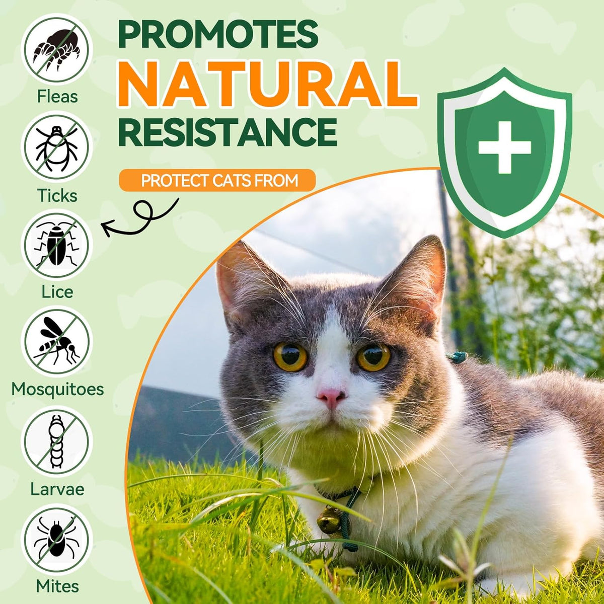 Flea and Tick Treatment for Cats - 200 Chews Flea and Tick Prevention for Cat Chewables - Flea