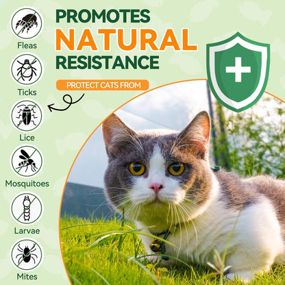 Flea and Tick Treatment for Cats - 200 Chews Flea and Tick Prevention for Cat Chewables - Flea