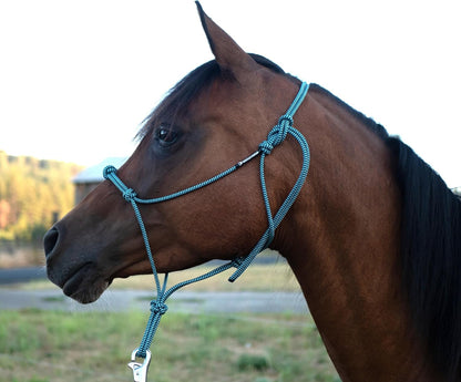 Horse Rope Training Halter - 4 Knot 1/4" Stiff Halter Cord - Used by Famous Trainers Multiple Sizes
