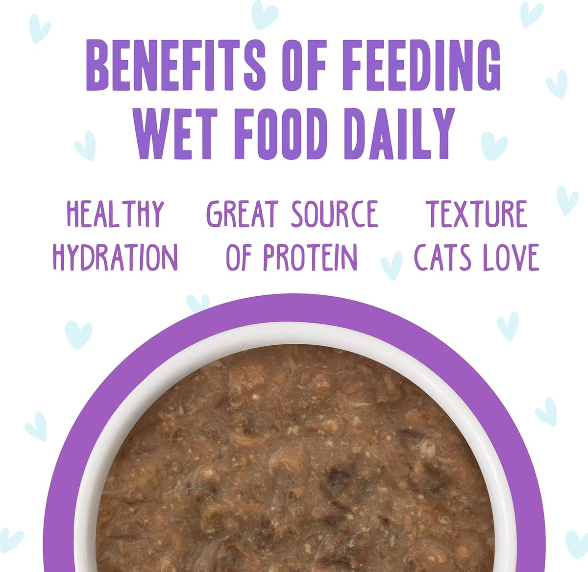Weruva B.F.F. OMG - Best Feline Friend Oh My Gravy!, Best Day Eva! with Beef & Salmon in Gravy Cat