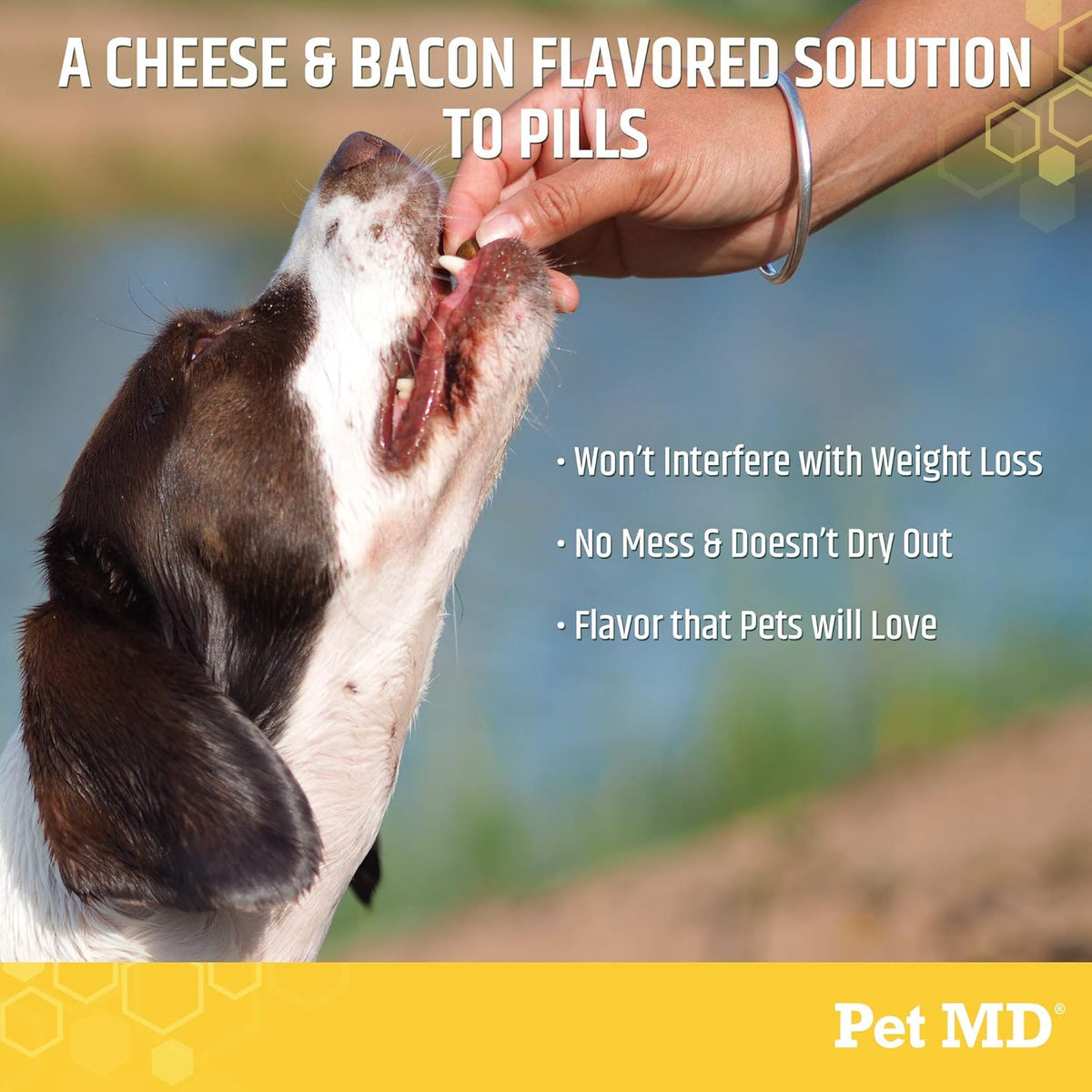 Pet MD Wrap A Pill Cheese & Bacon Flavor Pill Paste for Dogs - Make a Pocket or Pouch to Hide Pills