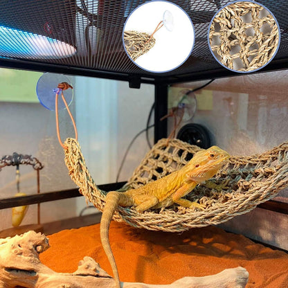 Bearded Dragon Tank Accessories Set: Reptile Habitat Decor with Climbing Hammock Toys, Natural Wood