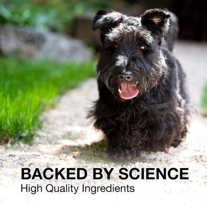 Nutramax Denosyl Liver and Brain Health Supplement for Medium Dogs - With S-Adenosylmethionine