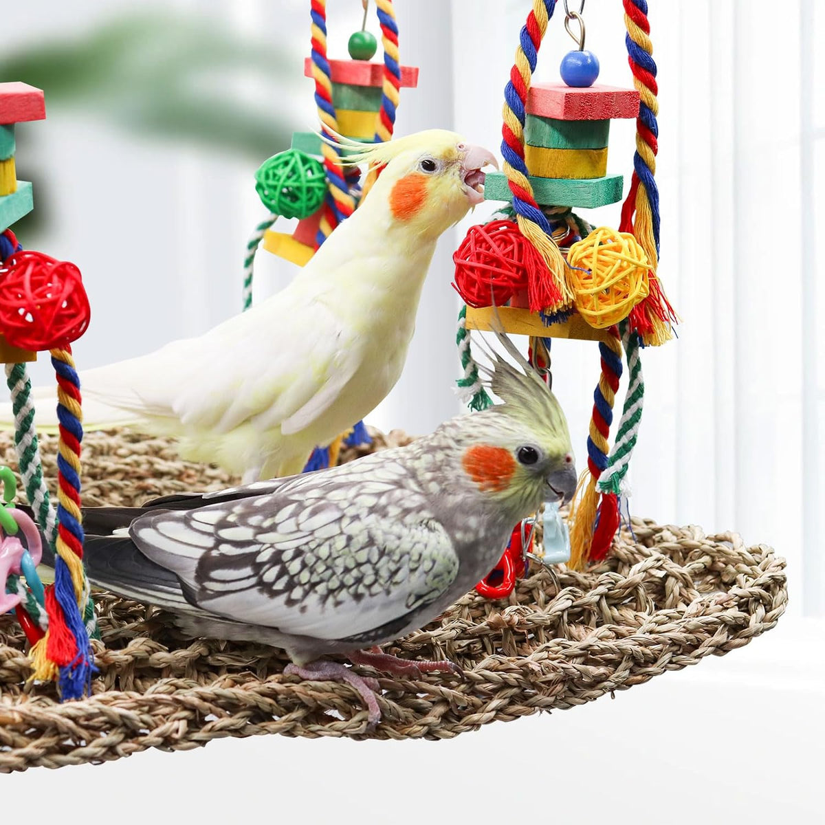 Large Bird Swing Toys, Colorful Parrot Seagrass Mat Hammock with Blocks, Bird Foraging Toy, Bird