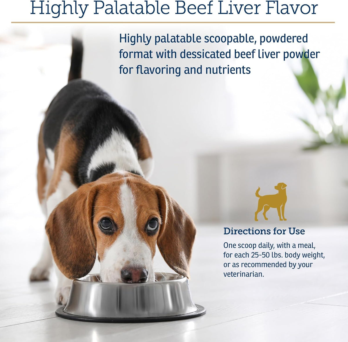 Rx Vitamins Essentials for Dogs - Daily Vitamins & Minerals - with Blue Spirulina, Kelp Powder, and