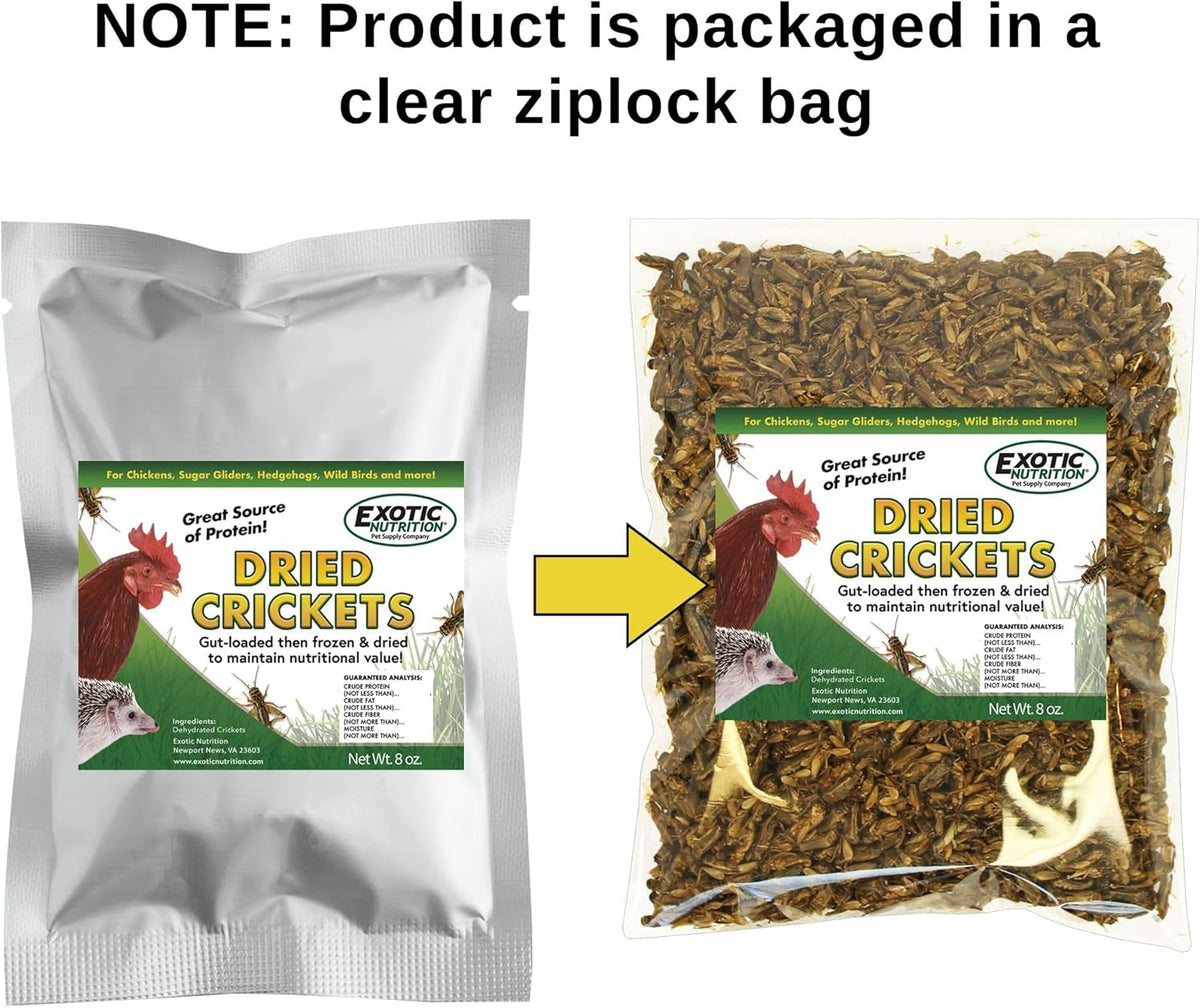 1 Pound Dried Crickets - High Protein Insect Treat - Chickens, Wild Birds, Hedgehogs, Bluebirds