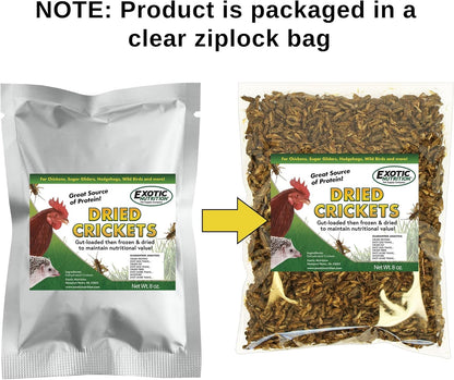 1 Pound Dried Crickets - High Protein Insect Treat - Chickens, Wild Birds, Hedgehogs, Bluebirds