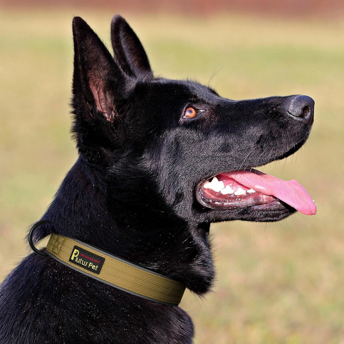Plutus Pet Tactical Dog Collar, Reflective, Adjustable Heavy Duty Dog Collar, Soft Padded and