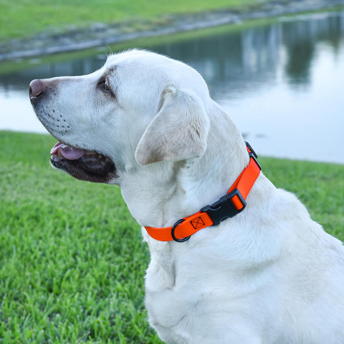 Dogline Biothane Waterproof Dog Collar with Quick Release Buckle Strong Coated Nylon Webbing with