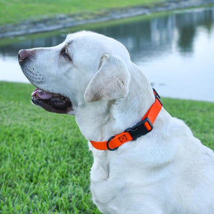 Dogline Biothane Waterproof Dog Collar with Quick Release Buckle Strong Coated Nylon Webbing with