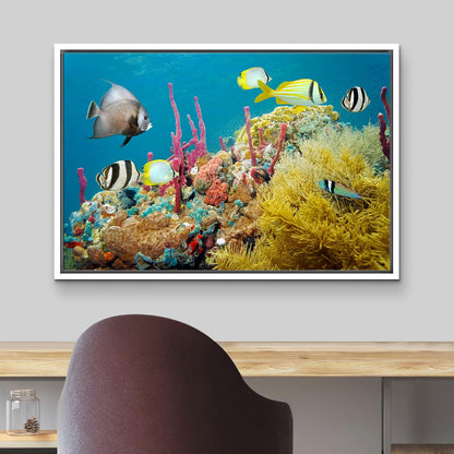wall26 Framed Canvas Print Wall Art Deep Sea Marine Fish with Coral Reef Nature Ocean Photography