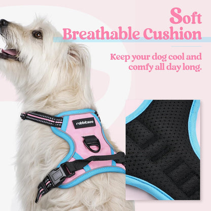 rabbitgoo Dog Harness No Pull with 2 Leash Clips, Adjustable Soft Padded, Reflective Oxford No