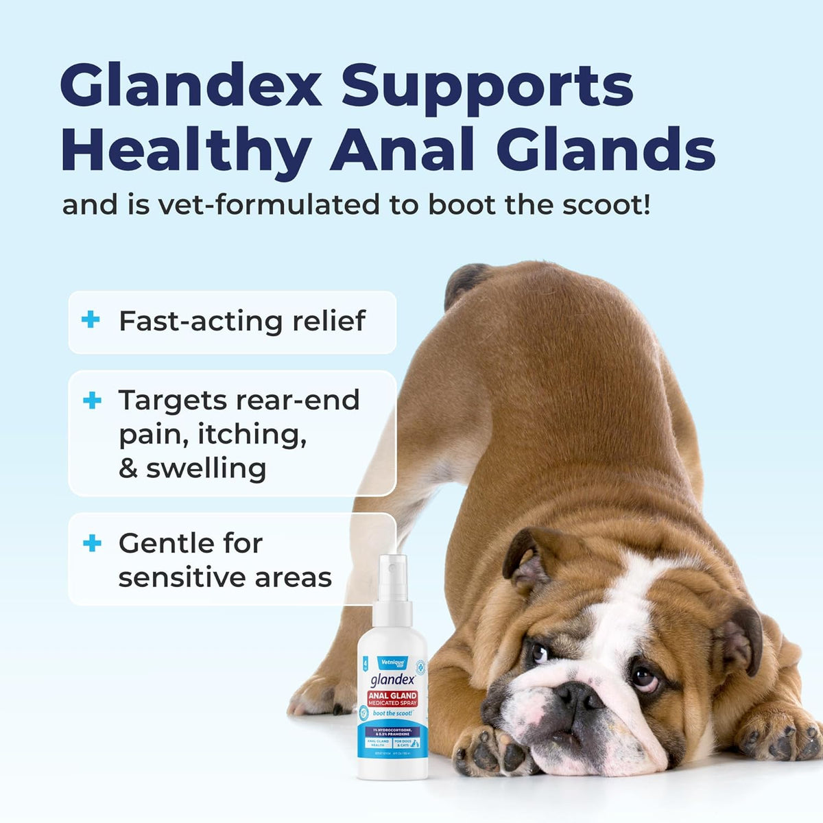 Vetnique Glandex Medicated Dog Butt Wipes or Spray for Dog Scooting - Topical Anti Itch Skin Relief