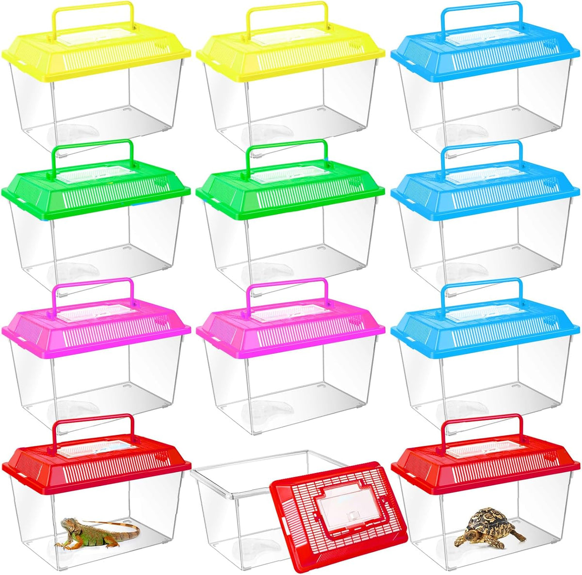 12Pcs Plastic Reptile Terrariums Carrier Cage, Tarantula Enclosure Snake Breeding Box Hatching