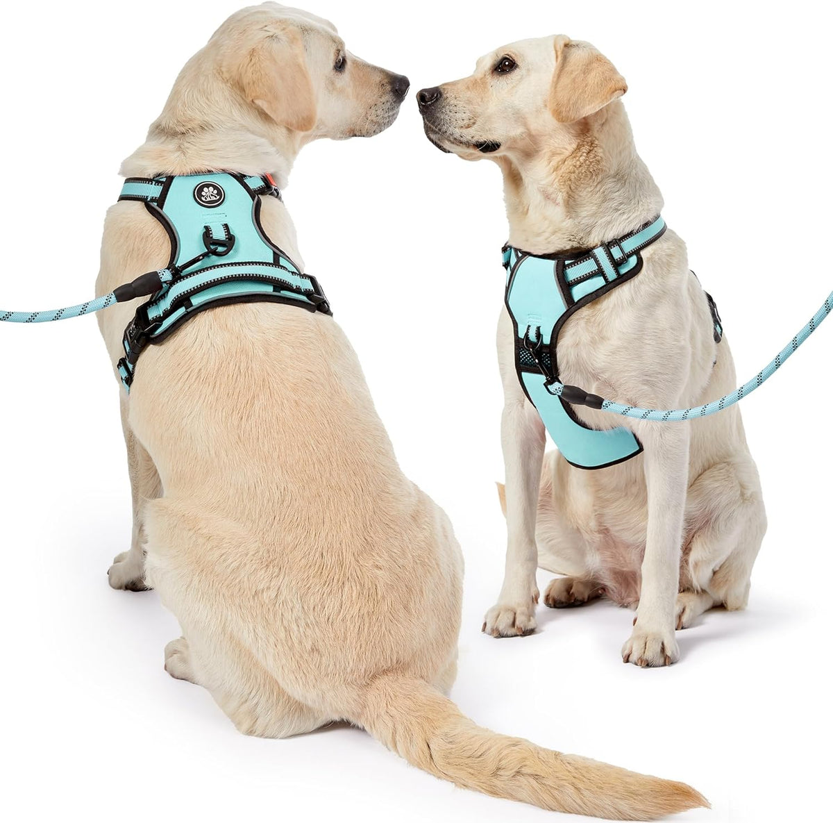 NESTROAD No Pull Dog Harness,Adjustable Oxford Dog Vest Harness with Leash,Reflective No-Choke Pet