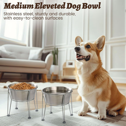 Elevated Dog Bowls for Medium&Small Dogs - Stainless Steel 48oz/6 Cups Raised Feeder with Non-Slip