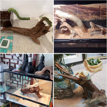 Hamiledyi Reptile Driftwood Decoration Natural Coral Driftwood Branches for Aquarium Reptiles Trunk
