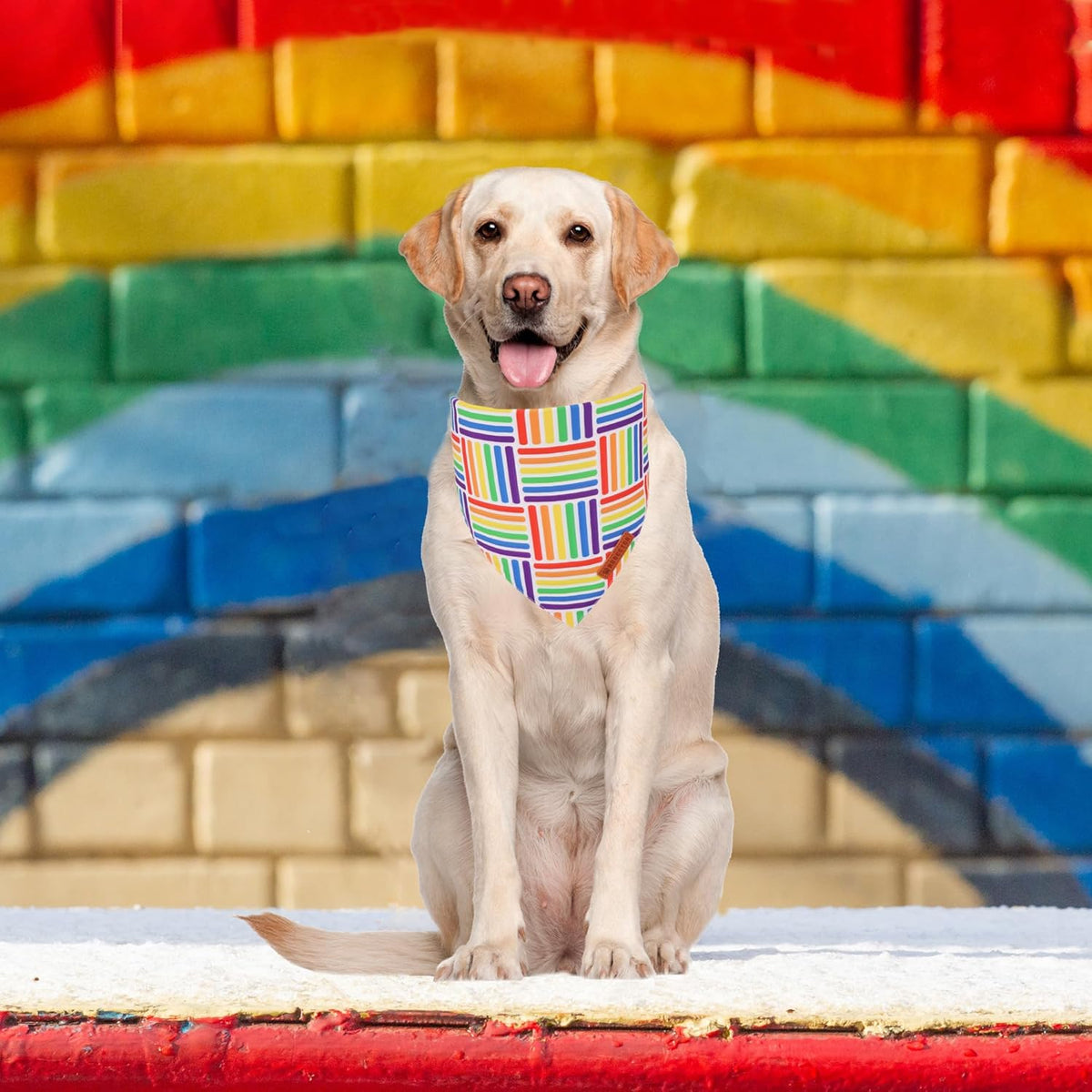 ADOGGYGO Rainbow Dog Bandana, Holiday Pet Scarf, Adjustable Fit Colorful Rainbow Bandanas for