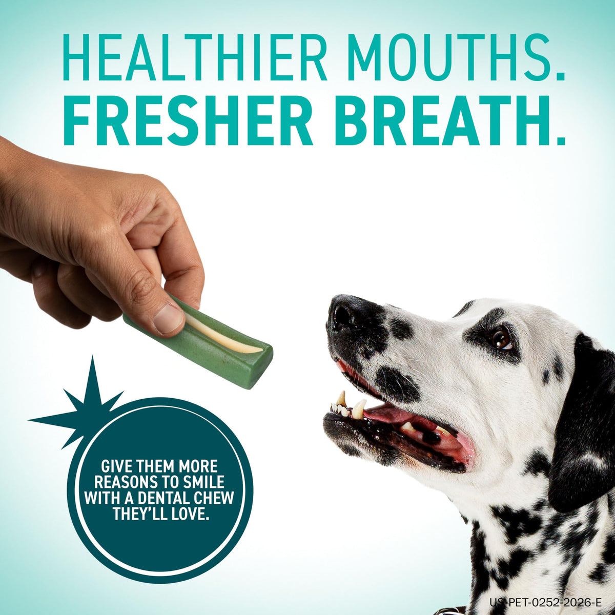 ORAVET Dental Chews for Dogs. Chosen for real quality, fits naturally into modern pet homes.