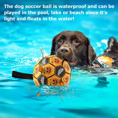 QDAN Halloween Dog Toys, Soccer Balls, Interactive Pet Toys, Puppy Dogs Birthday Gifts, Durable Dog