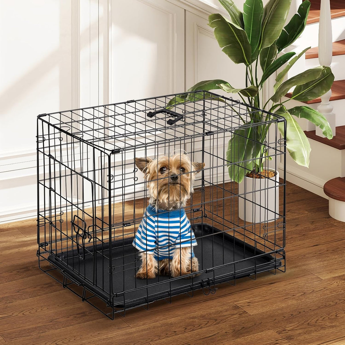 DUMOS Dog Crate, 24 Inch Medium Single Door Dog Cage with Divider Panel and Plastic Leak-Proof Pan