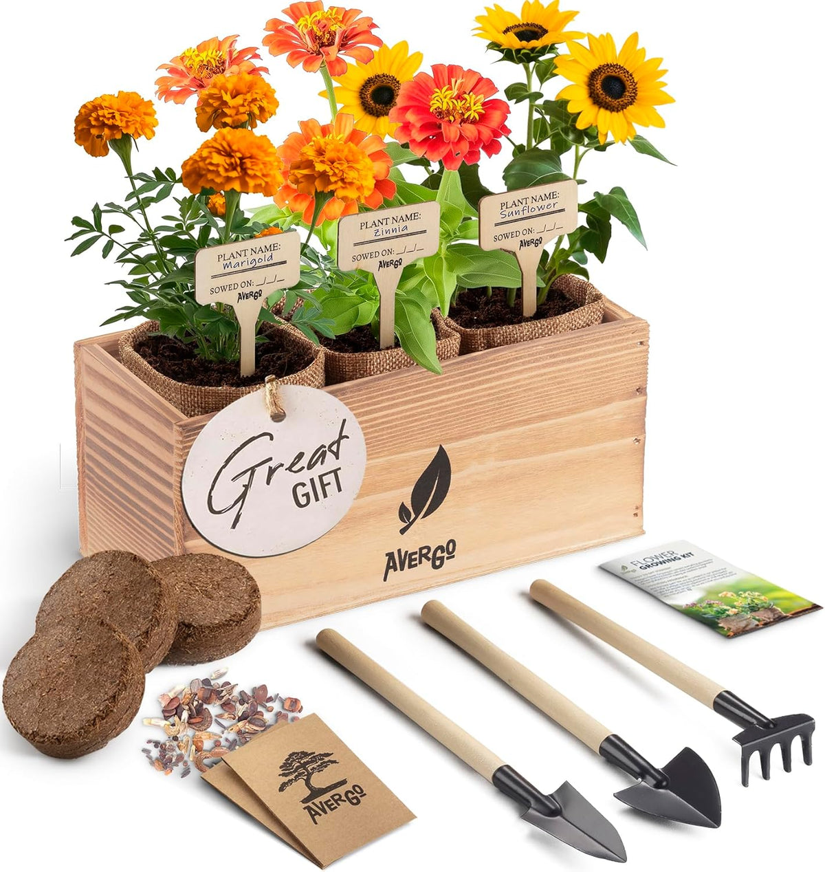 Sunflower, Marigold & Zinnia Flower Seeds Growing Kit – Complete Indoor & Outdoor Kit with Seeds