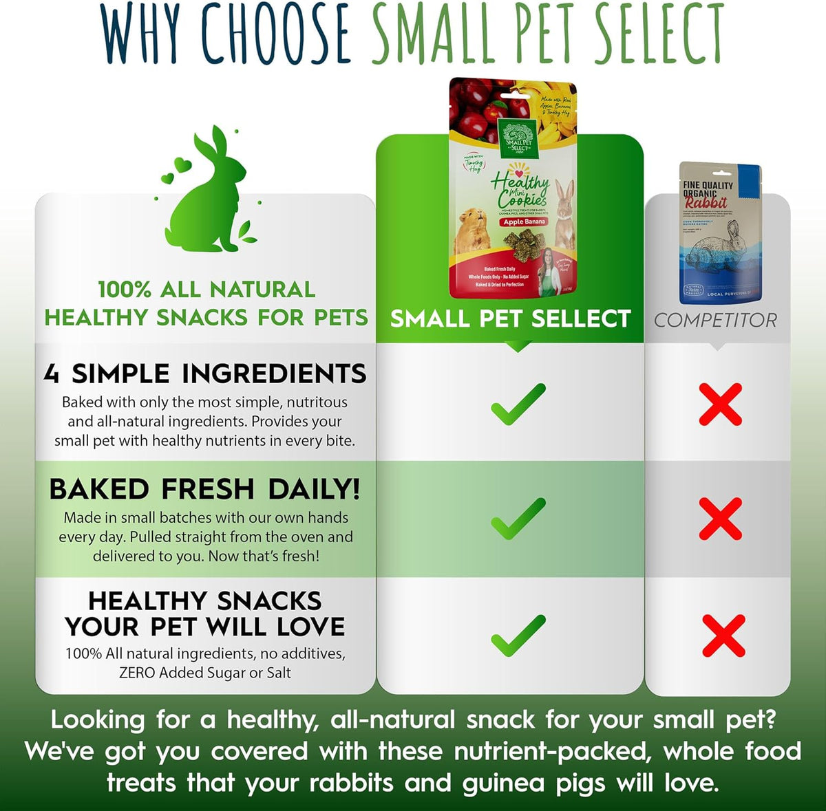 Small Pet Select Healthy Snackers Mini Cookies- Apple Banana, 2 oz (Pack of 2)