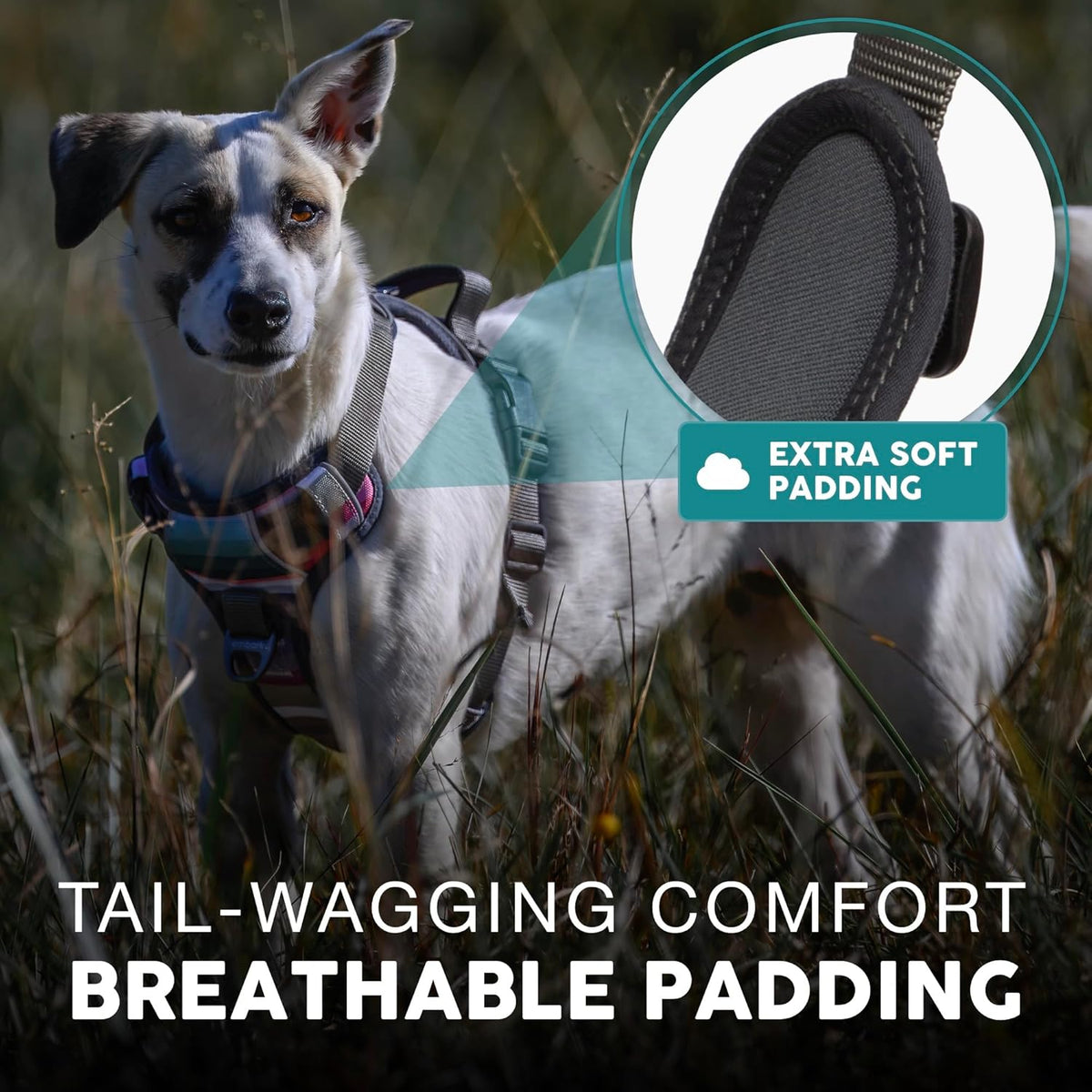 Embark Adventure Dog Harness, Reflective Trim No Pull Dog Harnesses for Small Sized Dogs - Military