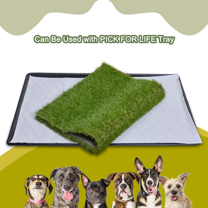 Dog Grass Large Potty Patch, Artificial Dog Grass Bathroom Turf for Pet Training, Washable Puppy