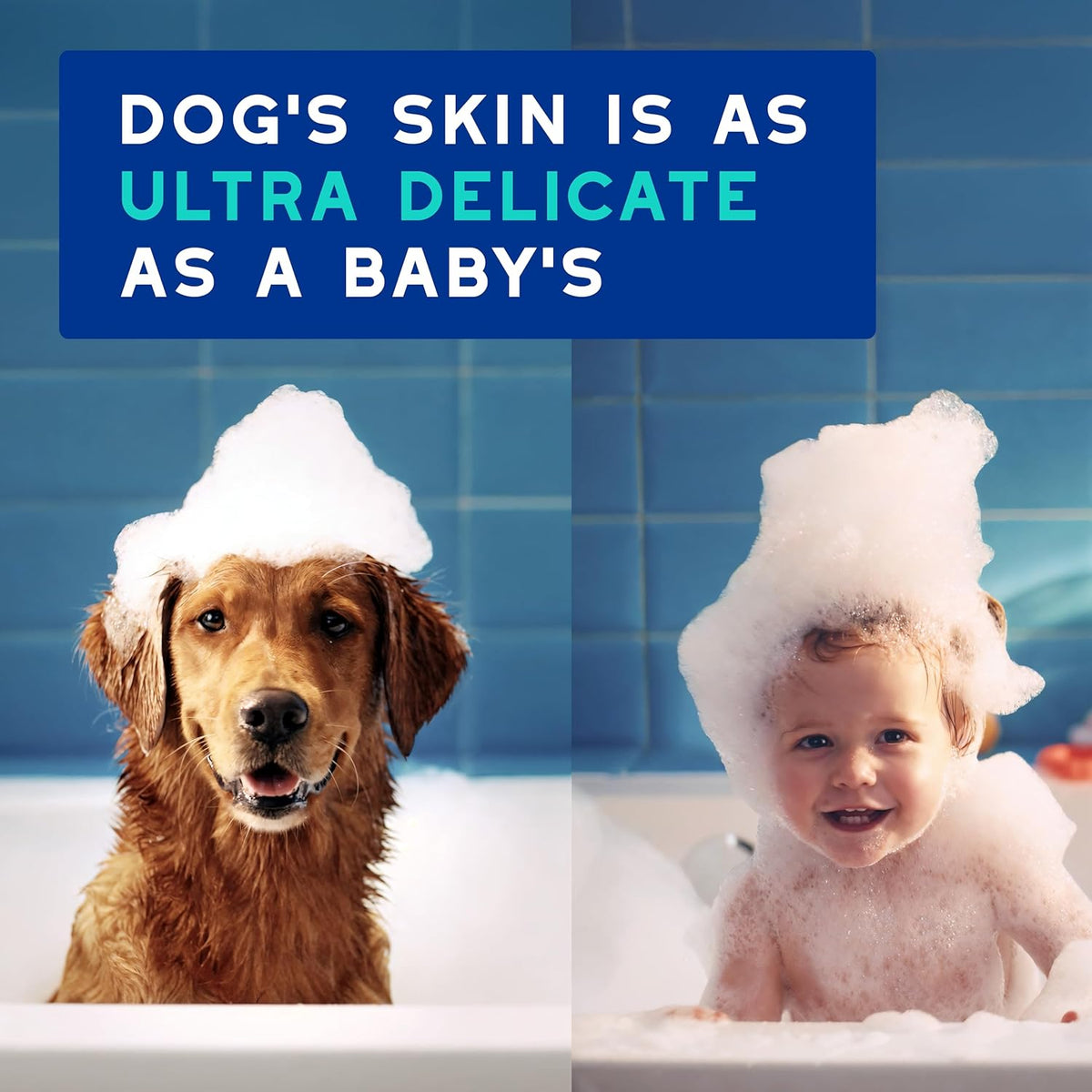 DOUXO® Skin & Coat SPA - Ultra-Safe Odor Control Dog Shampoo for Smelly Dogs, 16 fl oz, Cleans and