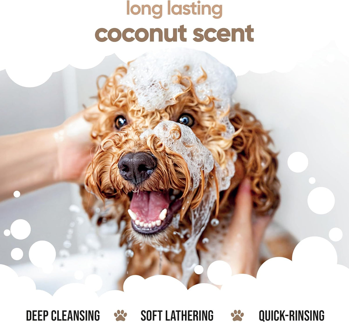 2in1 Dog Shampoo & Conditioner by Buddycare | Coconut Scented | with Aloe Vera and Pro Vitamin B5