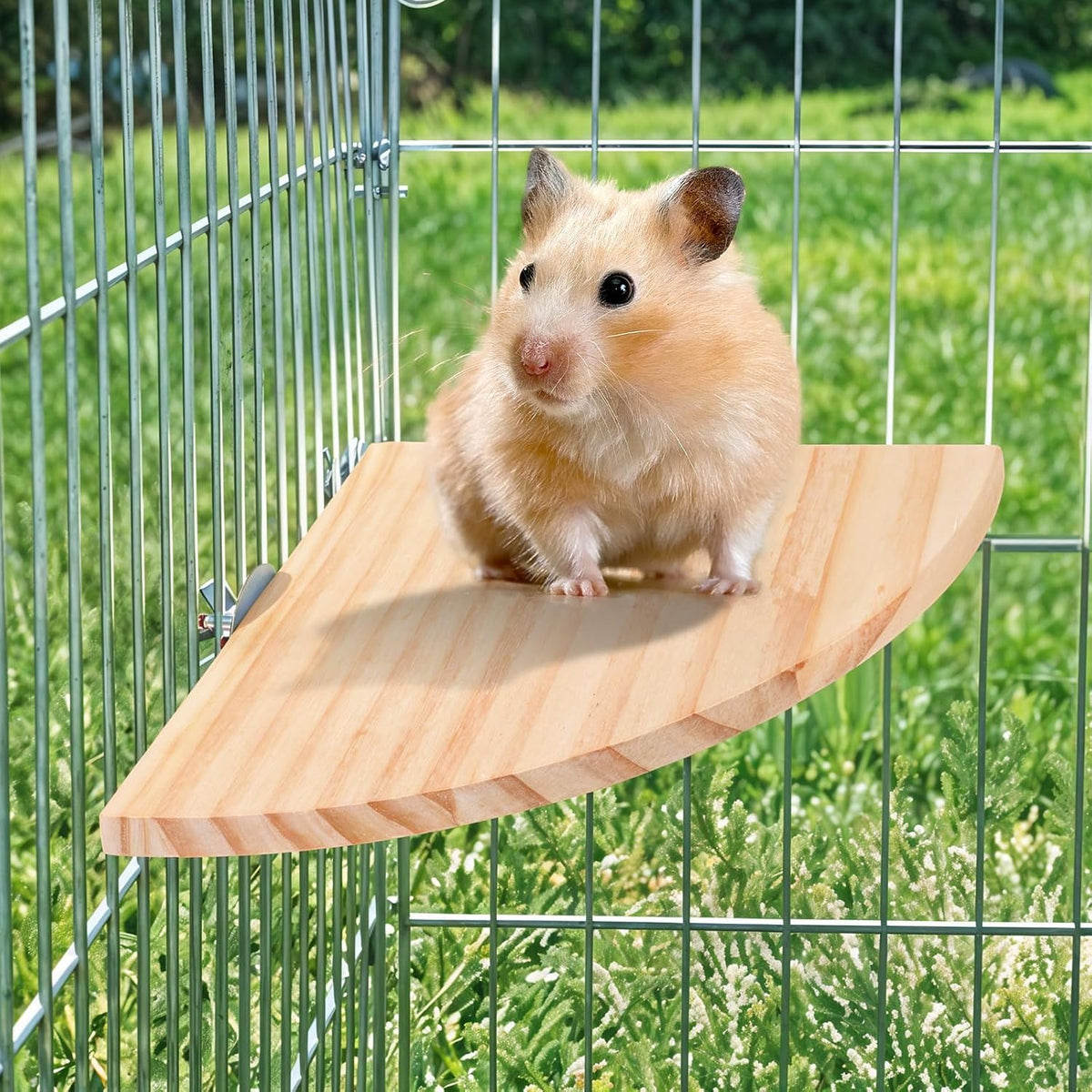 Bird Perch Platform Stand Wooden Parrot Perch Corner 6.7 Inches Fan Shape Playground Cage