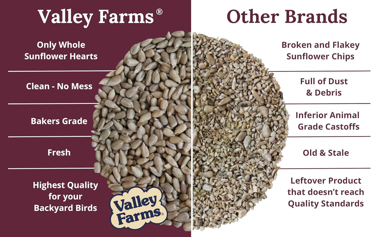 Valley Farms Whole Sunflower Hearts for Birds, Girasol Kernels Wild Bird Food, No Mess Wild Bird
