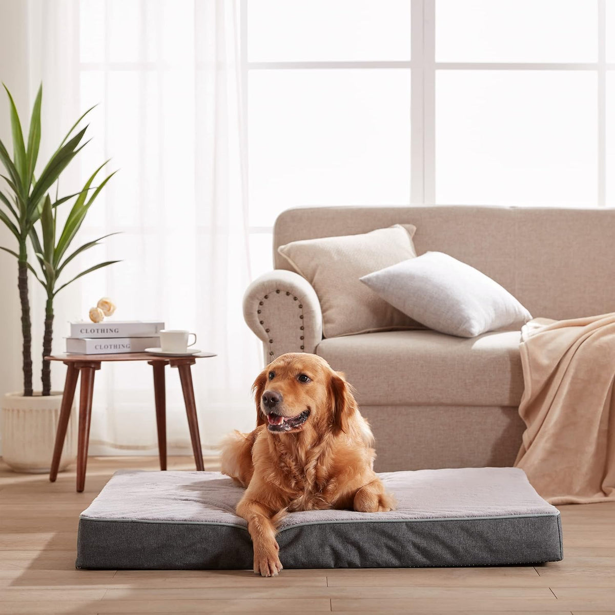 Cooling Dog Beds for Large Dogs, Orthopedic Memory Foam Dog Bed, Large Pet Beds with Washable