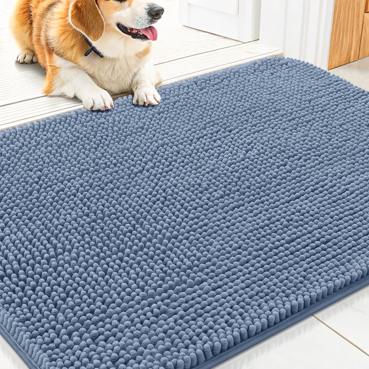 Smiry Dog Door Mat for Muddy Paws 30x20, Absorbs Moisture and Dirt Doormat, Non-Slip Washable Quick